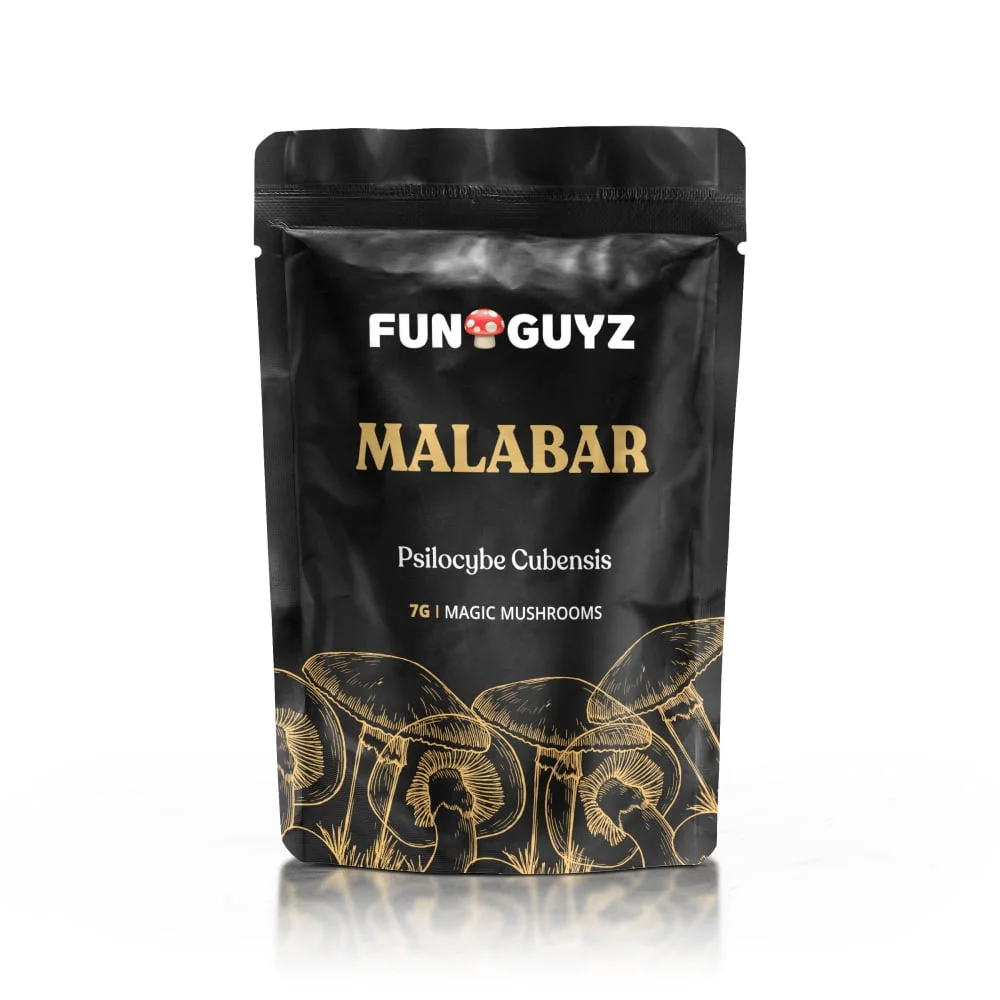 Buy Funguyz Malabar Magic Mushrooms